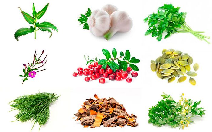 Folk remedies for the treatment of prostatitis